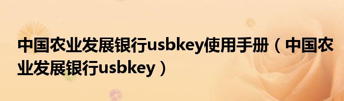 中国农业发展银行usbkey使用手册（中国农业发展银行usbkey）