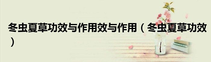 冬虫夏草功效与作用效与作用（冬虫夏草功效）