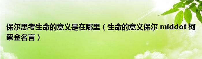 保尔思考生命的意义是在哪里（生命的意义保尔 middot 柯察金名言）