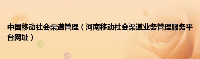 中国移动社会渠道管理（河南移动社会渠道业务管理服务平台网址）