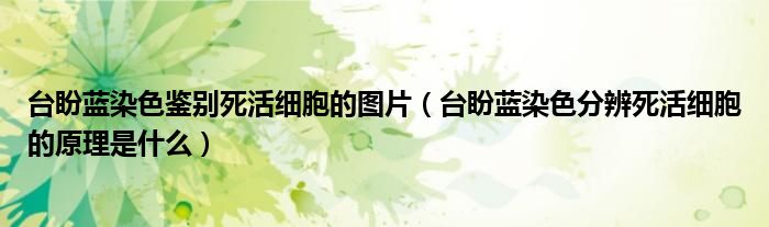 台盼蓝染色鉴别死活细胞的图片（台盼蓝染色分辨死活细胞的原理是什么）