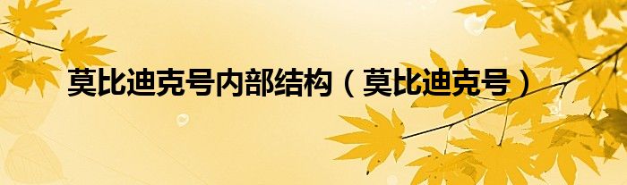 莫比迪克号内部结构（莫比迪克号）