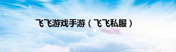 飞飞游戏手游（飞飞私服）