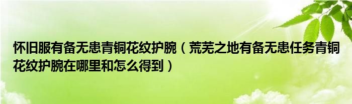 怀旧服有备无患青铜花纹护腕（荒芜之地有备无患任务青铜花纹护腕在哪里和怎么得到）