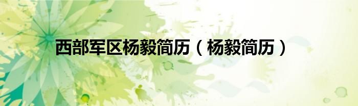 西部军区杨毅简历（杨毅简历）