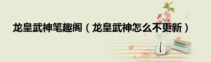 龙皇武神笔趣阁（龙皇武神怎么不更新）