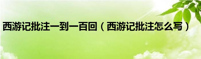 西游记批注一到一百回（西游记批注怎么写）