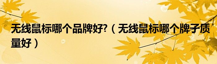 无线鼠标哪个品牌好?（无线鼠标哪个牌子质量好）