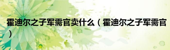 霍迪尔之子军需官卖什么（霍迪尔之子军需官）