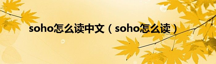 soho怎么读中文（soho怎么读）