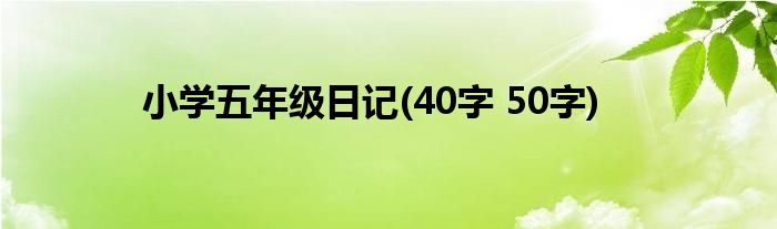 小学五年级日记(40字 50字)