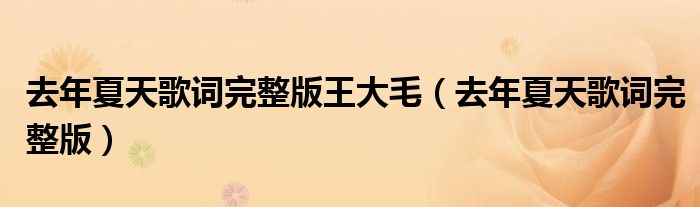 去年夏天歌词完整版王大毛（去年夏天歌词完整版）