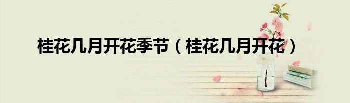 桂花几月开花季节（桂花几月开花）