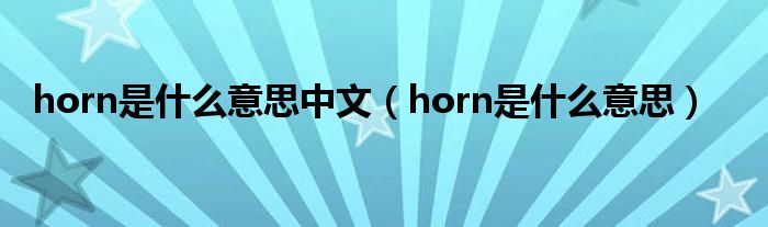 horn是什么意思中文（horn是什么意思）