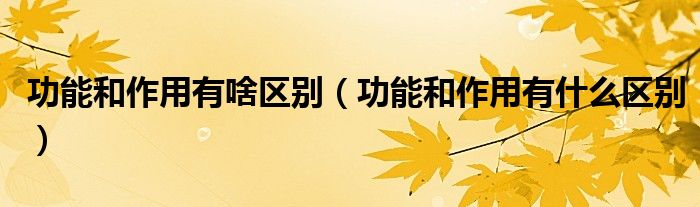 功能和作用有啥区别（功能和作用有什么区别）