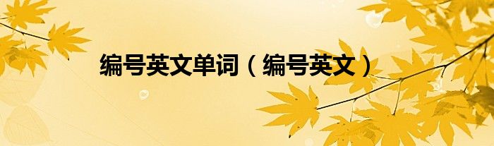 编号英文单词（编号英文）