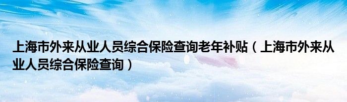 上海市外来从业人员综合保险查询老年补贴（上海市外来从业人员综合保险查询）