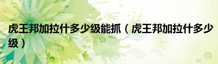 虎王邦加拉什多少级能抓（虎王邦加拉什多少级）