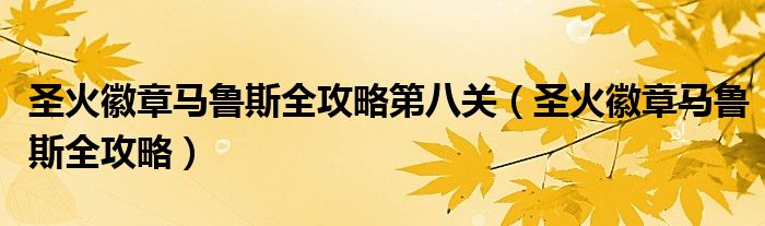 圣火徽章马鲁斯全攻略第八关（圣火徽章马鲁斯全攻略）