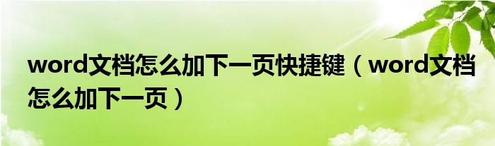 word文档怎么加下一页快捷键（word文档怎么加下一页）
