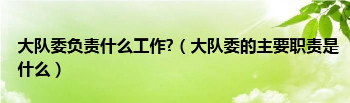 大队委负责什么工作?（大队委的主要职责是什么）