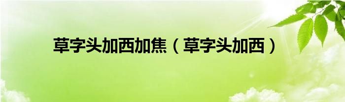 草字头加西加焦（草字头加西）