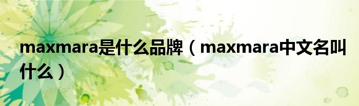 maxmara是什么品牌（maxmara中文名叫什么）