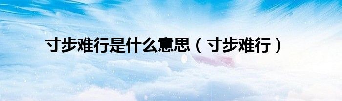 寸步难行是什么意思（寸步难行）