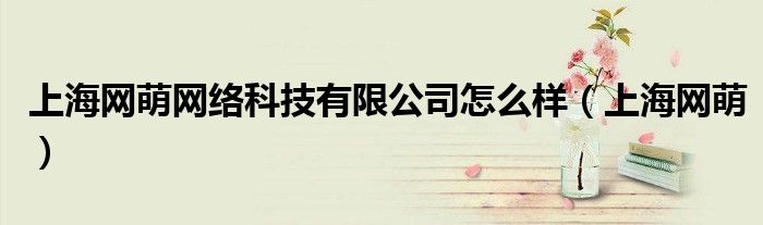 上海网萌网络科技有限公司怎么样（上海网萌）