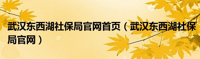 武汉东西湖社保局官网首页（武汉东西湖社保局官网）