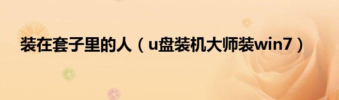 装在套子里的人（u盘装机大师装win7）