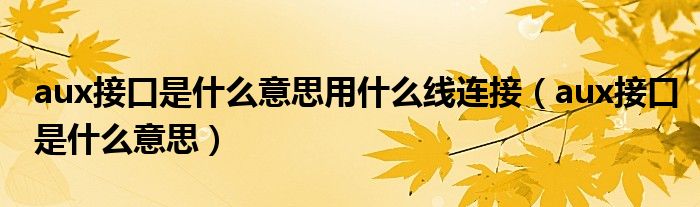 aux接口是什么意思用什么线连接（aux接口是什么意思）