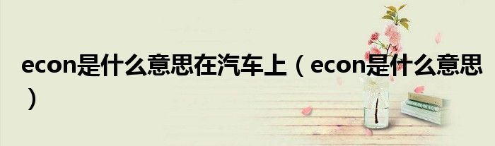 econ是什么意思在汽车上（econ是什么意思）