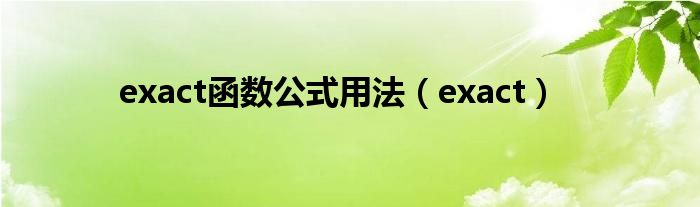 exact函数公式用法（exact）