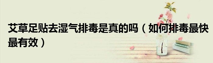 艾草足贴去湿气排毒是真的吗（如何排毒最快最有效）