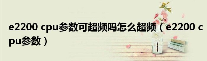 e2200 cpu参数可超频吗怎么超频（e2200 cpu参数）
