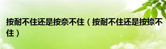 按耐不住还是按奈不住（按耐不住还是按捺不住）