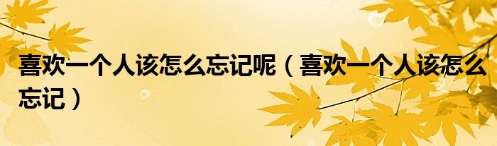 喜欢一个人该怎么忘记呢（喜欢一个人该怎么忘记）