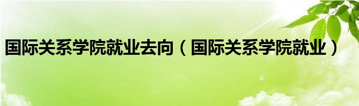 国际关系学院就业去向（国际关系学院就业）