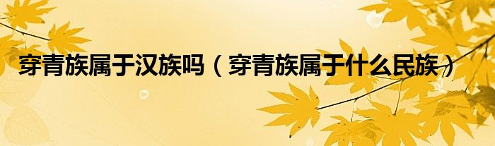 穿青族属于汉族吗（穿青族属于什么民族）