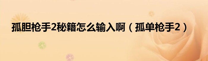 孤胆枪手2秘籍怎么输入啊（孤单枪手2）