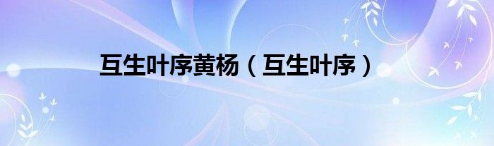 互生叶序黄杨（互生叶序）