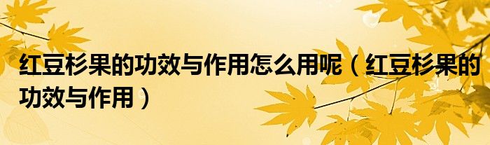 红豆杉果的功效与作用怎么用呢（红豆杉果的功效与作用）