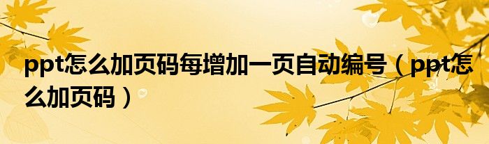 ppt怎么加页码每增加一页自动编号（ppt怎么加页码）