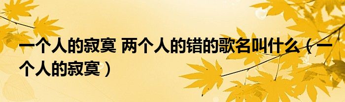一个人的寂寞 两个人的错的歌名叫什么（一个人的寂寞）