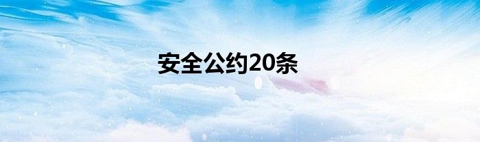 安全公约20条