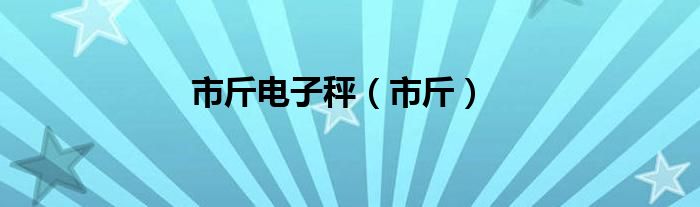 市斤电子秤（市斤）
