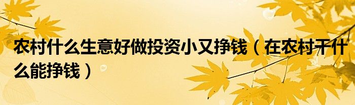 农村什么生意好做投资小又挣钱（在农村干什么能挣钱）