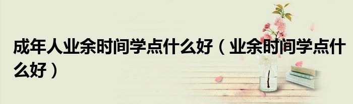 成年人业余时间学点什么好（业余时间学点什么好）
