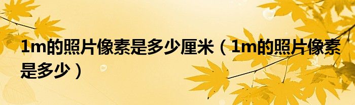 1m的照片像素是多少厘米（1m的照片像素是多少）
